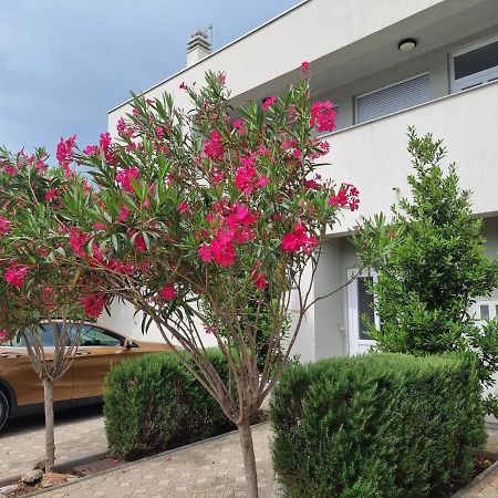 Apartmani Jozic Seline Exteriör bild