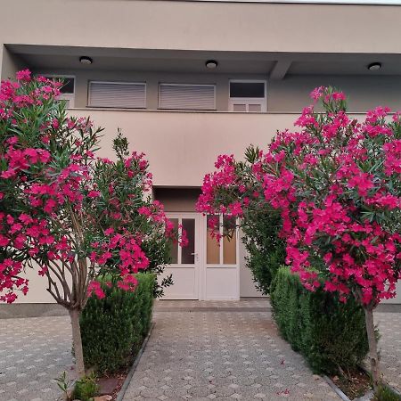 Apartmani Jozic Seline Exteriör bild