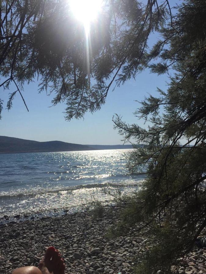Apartmani Jozic Seline Exteriör bild