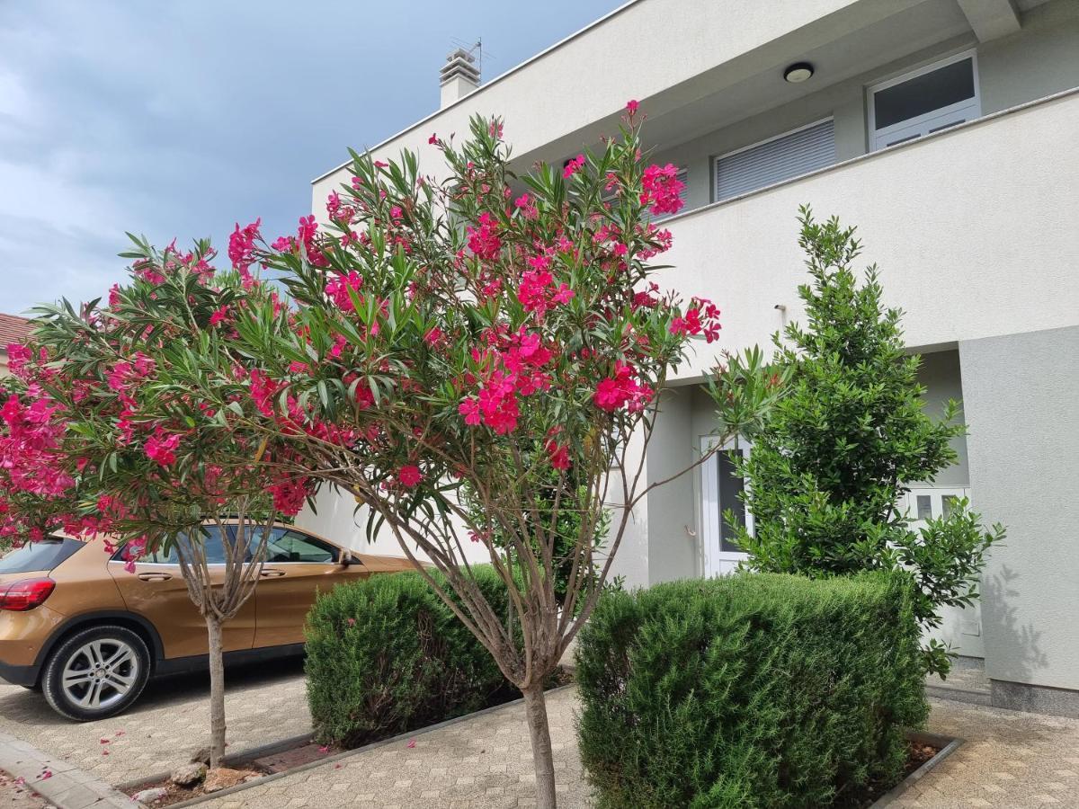 Apartmani Jozic Seline Exteriör bild