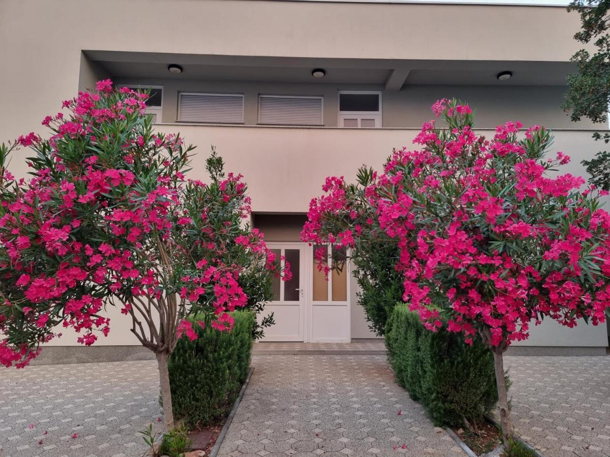 Apartmani Jozic Seline Exteriör bild